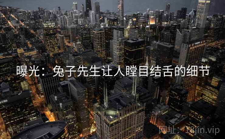 曝光:兔子先生让人瞠目结舌的细节 曝光:兔子先生让人瞠目结舌的细节